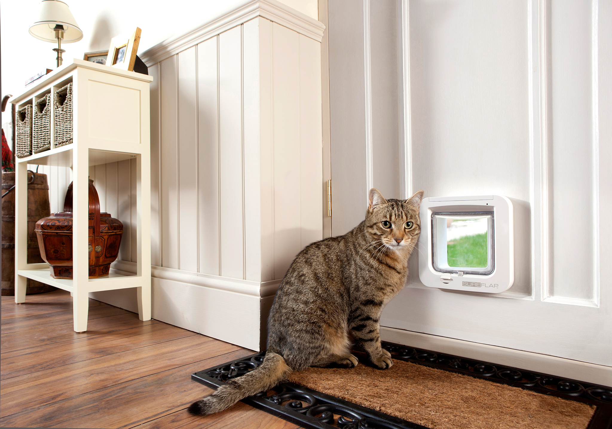 installing a cat flap