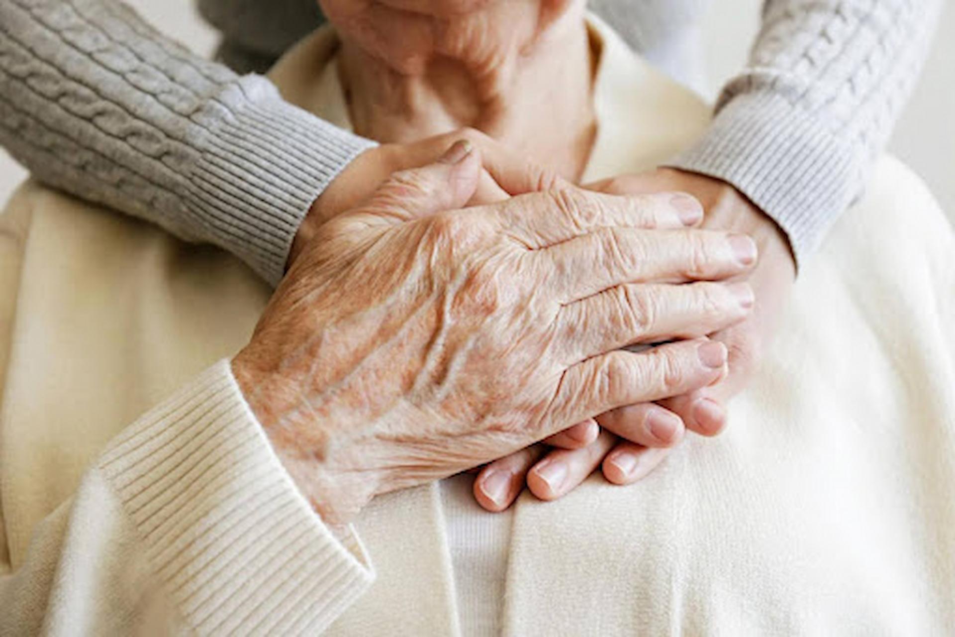 Companionship Services