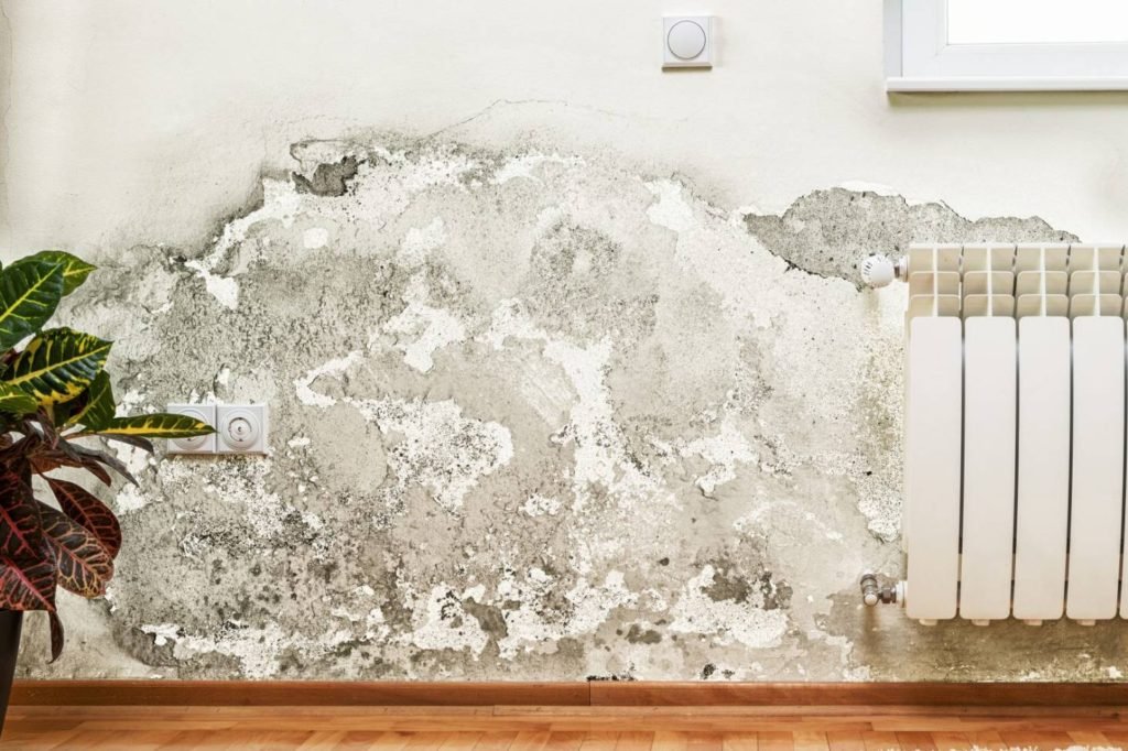 How To Get Rid Of Problems Due To Dampness In Your Home?