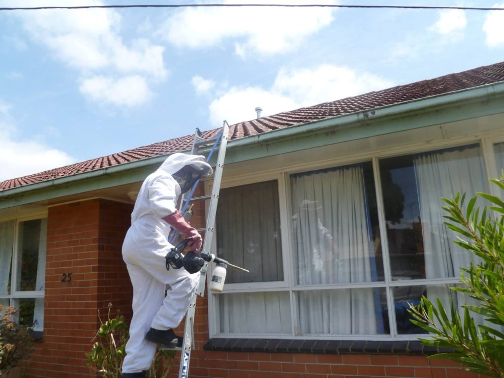 Everything You Need To Know About The Bird Pest Control Methods