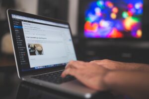 niche edit services
